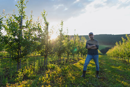 A mature farmer standing in the middle of orchard at sunset. Copy space.の写真素材