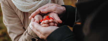 Hands full of rose hips in fall nature.の写真素材