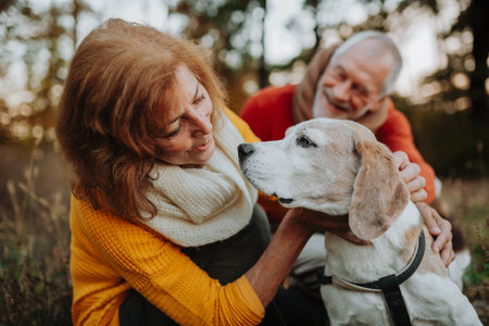 Elderly man and woman walking their dog in nature on autumn day.の写真素材