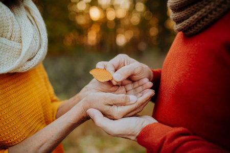Hands with autumn leaf, fall nature.の写真素材