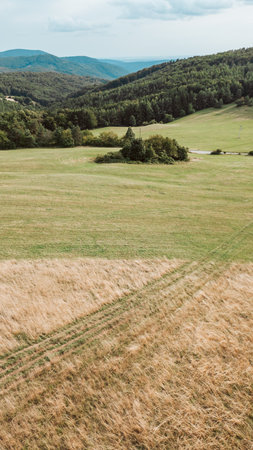 Aerial drone view of green rolling hills and forest landscape.の写真素材
