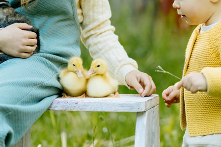 Kids enjoying time with baby animals in the garden.の写真素材