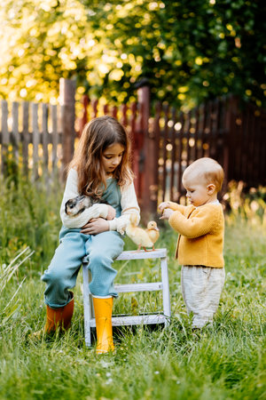 Kids enjoying time with baby animals in the garden.の写真素材