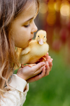 Girl holding duckling in palms.の写真素材