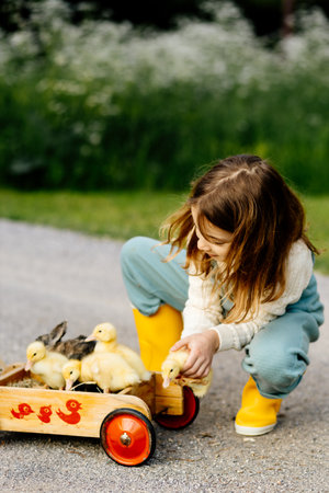 Girl carrying baby chicks on wooden toy cart.の写真素材