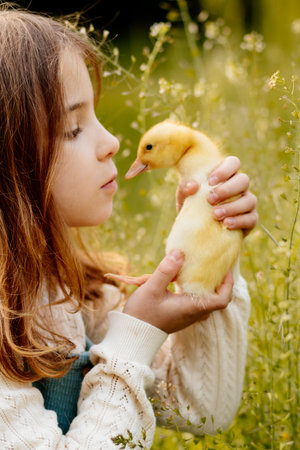 Girl holding duckling in hands.の写真素材