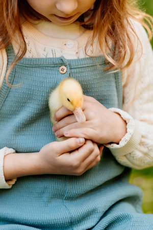 Lovely girl cuddling baby duckling.の写真素材