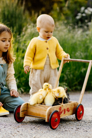 Sisters carrying ducklings and baby bunnies on wooden toy cart.の写真素材