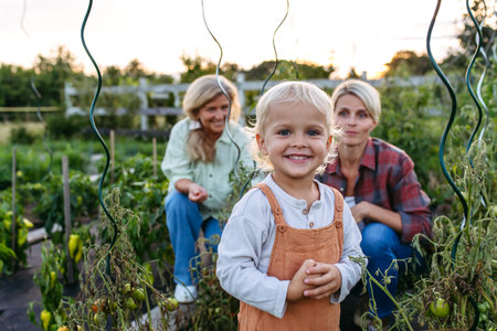 Little boy helping on farm, picking tomatoes.の写真素材