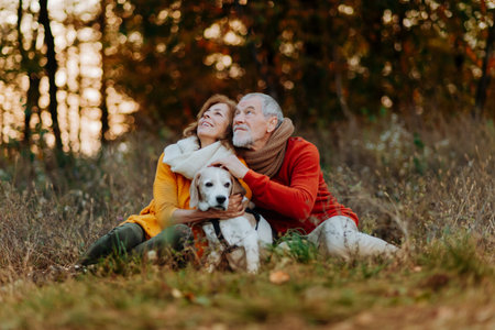 Senior couple walking dog in autumn forest.の写真素材