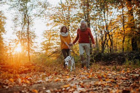 Elderly man and woman walking their dog in nature on autumn day.の写真素材