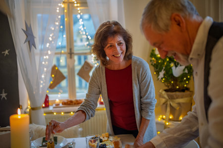 Older couple preparing table for Christmas dinner.の写真素材