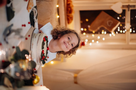 Cheerful small girl looking at christmas cake during christmas dinner.の写真素材