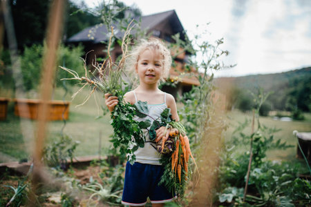Little girl holding freshly harvested vegetables in home garden.の写真素材