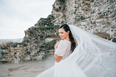 Stunning bride in a snow-white wedding dress with short sleeves.の写真素材
