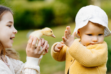 Kids enjoying time with baby animals in the garden.