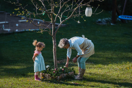 Little girl helping grandmother with yard work, planting spring flowers.