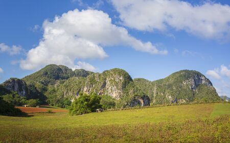 Vinales National Park, UNESCO, Pinar del Rio Province, Cuba, West Indies, Caribbean Central Americaの写真素材