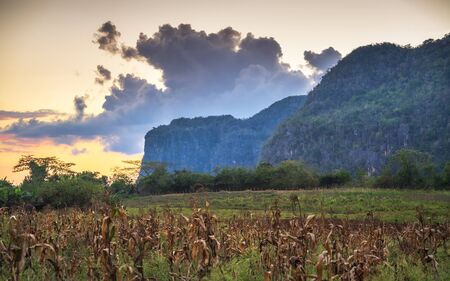 View of Vinales Valley, UNESCO, Vinales, Pinar del Rio Province, Cuba, West Indies, Caribbean Central Americaの写真素材