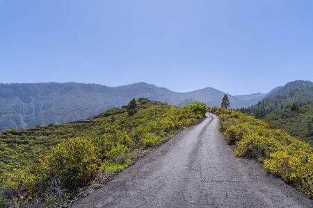 Windows of the Guimar (thousand windows hike) at Tenerife, Canary Islands, Spain, Europe,の写真素材