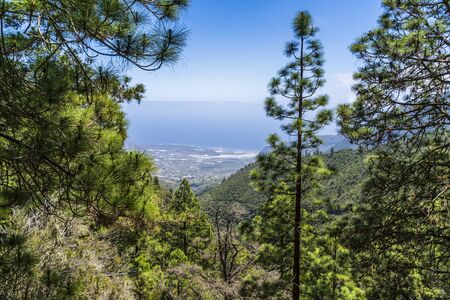 Windows of the Guimar (thousand windows hike) at Tenerife, Canary Islands, Spain, Europe,の写真素材