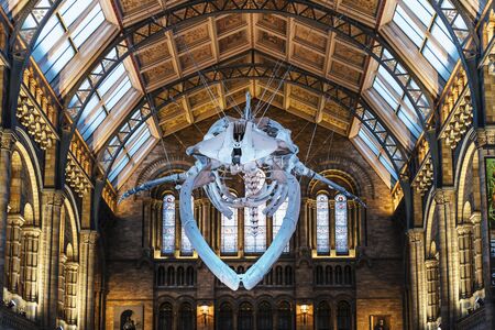 London, United Kingdon - Deceber 2 2018: Huge dinosaur bones at Central Hall, Natural History Museum, South Kensington, London, England, United Kingdom, Europeのeditorial素材