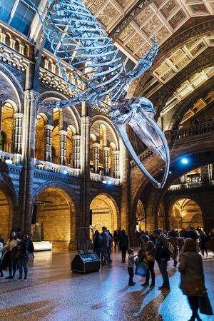 London, United Kingdon - Deceber 2 2018: Huge dinosaur bones at Central Hall, Natural History Museum, South Kensington, London, England, United Kingdom, Europeのeditorial素材