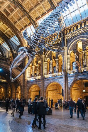 London, United Kingdon - Deceber 2 2018: Huge dinosaur bones at Central Hall, Natural History Museum, South Kensington, London, England, United Kingdom, Europeのeditorial素材