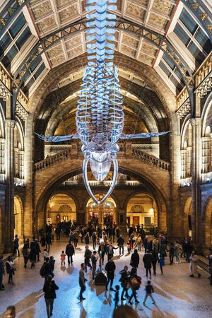 London, United Kingdon - Deceber 2 2018: Huge dinosaur bones at Central Hall, Natural History Museum, South Kensington, London, England, United Kingdom, Europeのeditorial素材