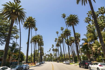 Beverly Hills, USA - May 28 2018: Beverly Drive, Beverly Hills, California, United States of America, North Americaのeditorial素材