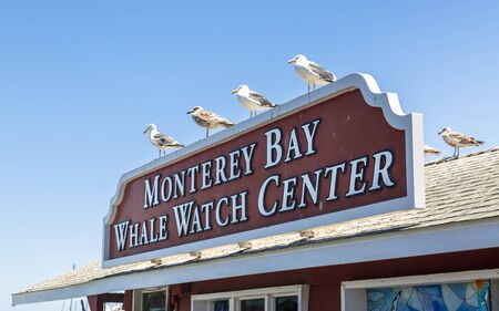 Monterey, USA - June 1 2018: Fishermans Wharf, Monterey Bay, Peninsula, Monterey, Pacific Ocean, California, United States of America North Americaのeditorial素材