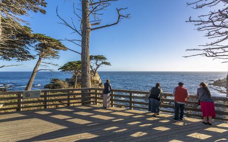 Monterey, USA - June 1 2018: View of Carmel Bay and Lone Cyprus at Pebble Beach, 17 Mile Drive, Peninsula, Monterey, California, United States of America, North Americaのeditorial素材
