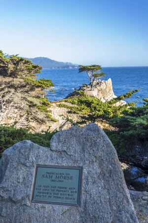 Monterey, USA - June 1 2018: View of Carmel Bay and Lone Cyprus at Pebble Beach, 17 Mile Drive, Peninsula, Monterey, California, United States of America, North Americaのeditorial素材
