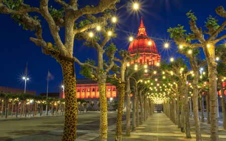 View of San Francisco City Hall illuminated at night, San Francisco, California, United States of America, North Americaの写真素材