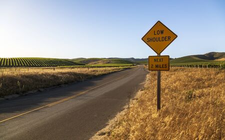 Highway through Rows of lush vineyards on a hillside, Napa Valley, California, United States of America, North Americaの写真素材