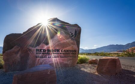 View of rock formations and flora in Red Rock Canyon National Recreation Area, Las Vegas, Nevada, USA, North Americaの写真素材