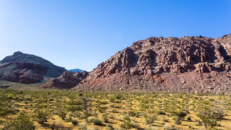 View of rock formations and flora in Red Rock Canyon National Recreation Area, Las Vegas, Nevada, USA, North Americaの写真素材