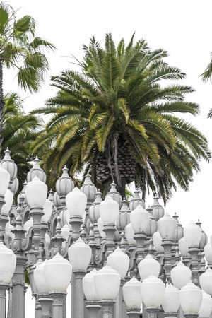 Broad Contemporary Art Museum, Los Angeles County Museum of Art, Los Angeles, California, United States of Americaのeditorial素材