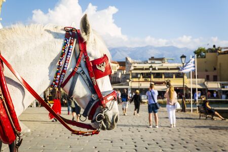 Crete, Greece - April 23 2018: Horse enjoying sun in Venetian Harbour, Chania, Crete, Greek Islands, Greece Europeのeditorial素材