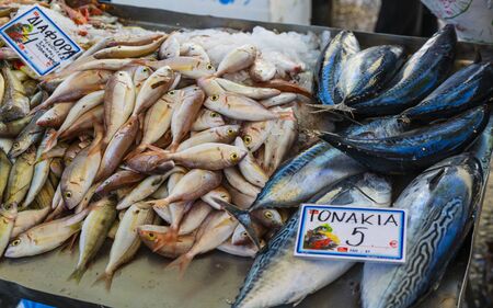Fresh fish stand, Chania, Crete, Greek Islands Greece Europeのeditorial素材