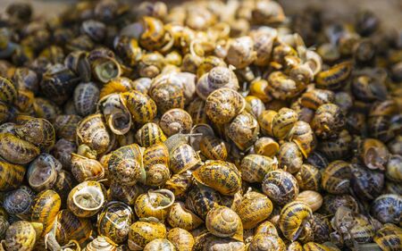 Snails for sale, Chania, Crete, Greek Islands Greece Europeの写真素材