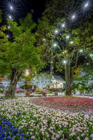 Chiang Rai / Thailand - January 1st 2020: Beautiful and colourful flowers in Chiang Rai Flower Festival at night, Chiang Rai, Thailand, Southeast Asia, Asiaのeditorial素材