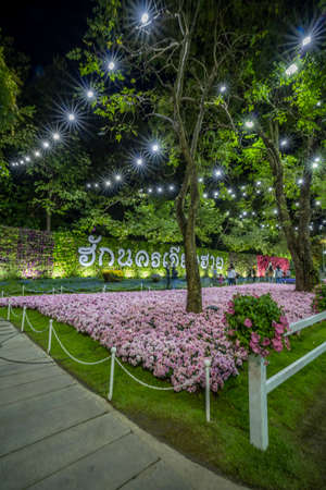 Chiang Rai / Thailand - January 1st 2020: Beautiful and colourful flowers in Chiang Rai Flower Festival at night, Chiang Rai, Thailand, Southeast Asia, Asiaのeditorial素材