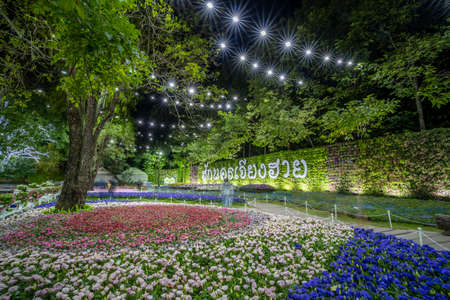 Chiang Rai / Thailand - January 1st 2020: Beautiful and colourful flowers in Chiang Rai Flower Festival at night, Chiang Rai, Thailand, Southeast Asia, Asiaのeditorial素材