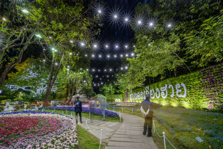 Chiang Rai / Thailand - January 1st 2020: Beautiful and colourful flowers in Chiang Rai Flower Festival at night, Chiang Rai, Thailand, Southeast Asia, Asiaのeditorial素材