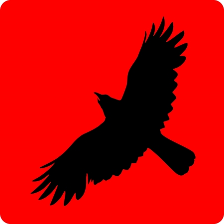 Black silhouette a eagle on a red background のイラスト素材