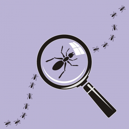 ant Magnifying glass on background のイラスト素材