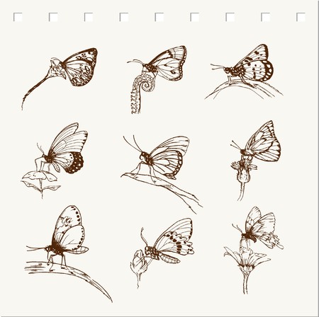 doodle vector butterflies のイラスト素材