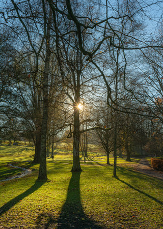 Autumn afternoon sun in Roskildeの写真素材