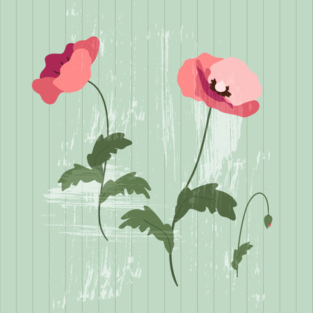 Pink poppies on a vintage textured green background. Floral vector illustration for greeting cards, wedding invitations, social media and more design.のイラスト素材